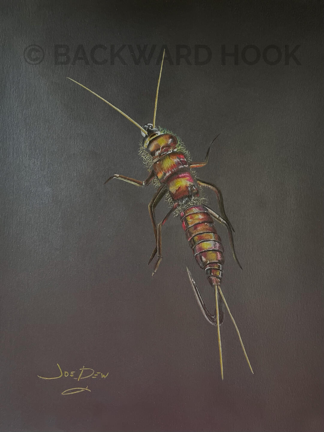 S t o n e f l y N y m p h Black Matte Series 270 9 * 12