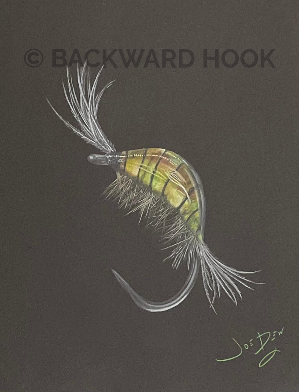 S l o v e n i a n S c u d Black Matte Series Dessin d'étude (Study drawing) 230 8.5 * 11